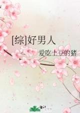 绮梦璇玑全文阅读 作者：网盟彩神